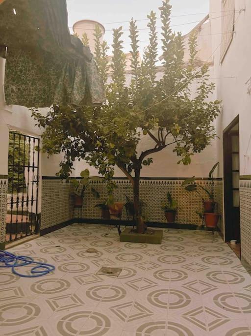 La Casa De Manolita Holiday home *